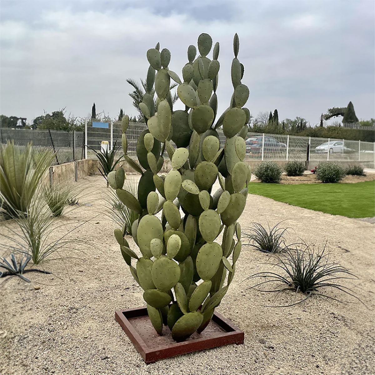 Extra Large Cactus - Sculptures. Wrought iron