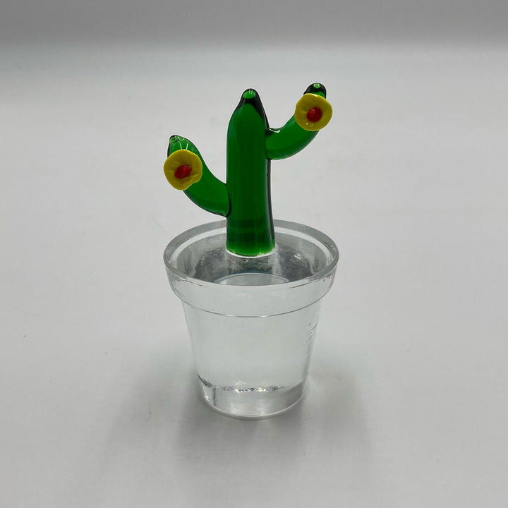 Mini Cactus 1 - Hand-blown glass sculpture by Fornace Mian - Fp Art Online