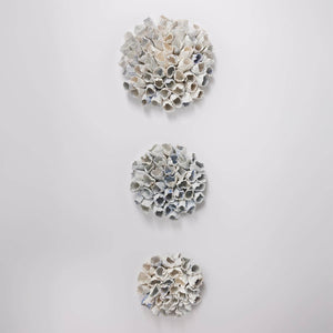 Circular Anemones