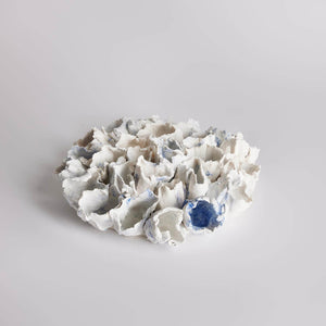 Circular Anemones