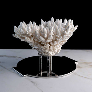 Ame De Corail - Finger coral on a stainless steel frame by Maritime Objects - Fp Art Online