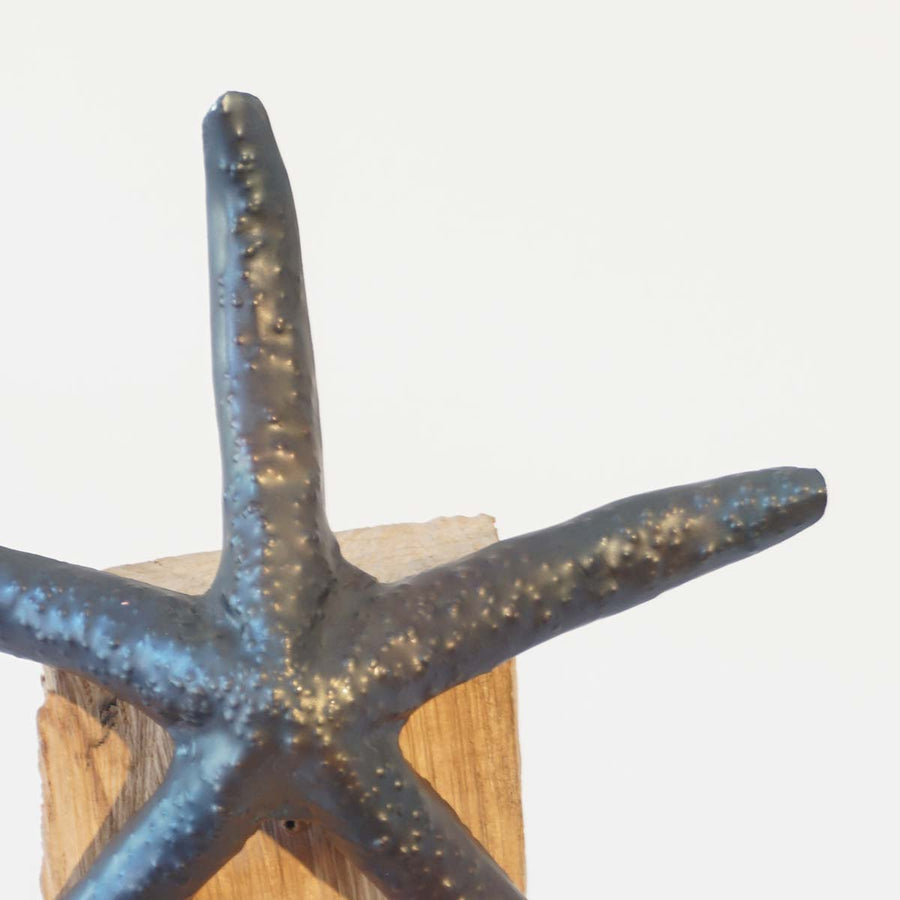 Stella Marina 28 - Iron sculpture with night blue wax encaustic technique by Bozzo Luca - Fp Art Online