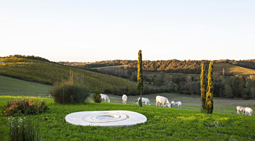 Locanda La Raia. The green residence on the Gavi hills where hospitality, excellent wine, and art interact in harmony with nature. - Fp Art Online