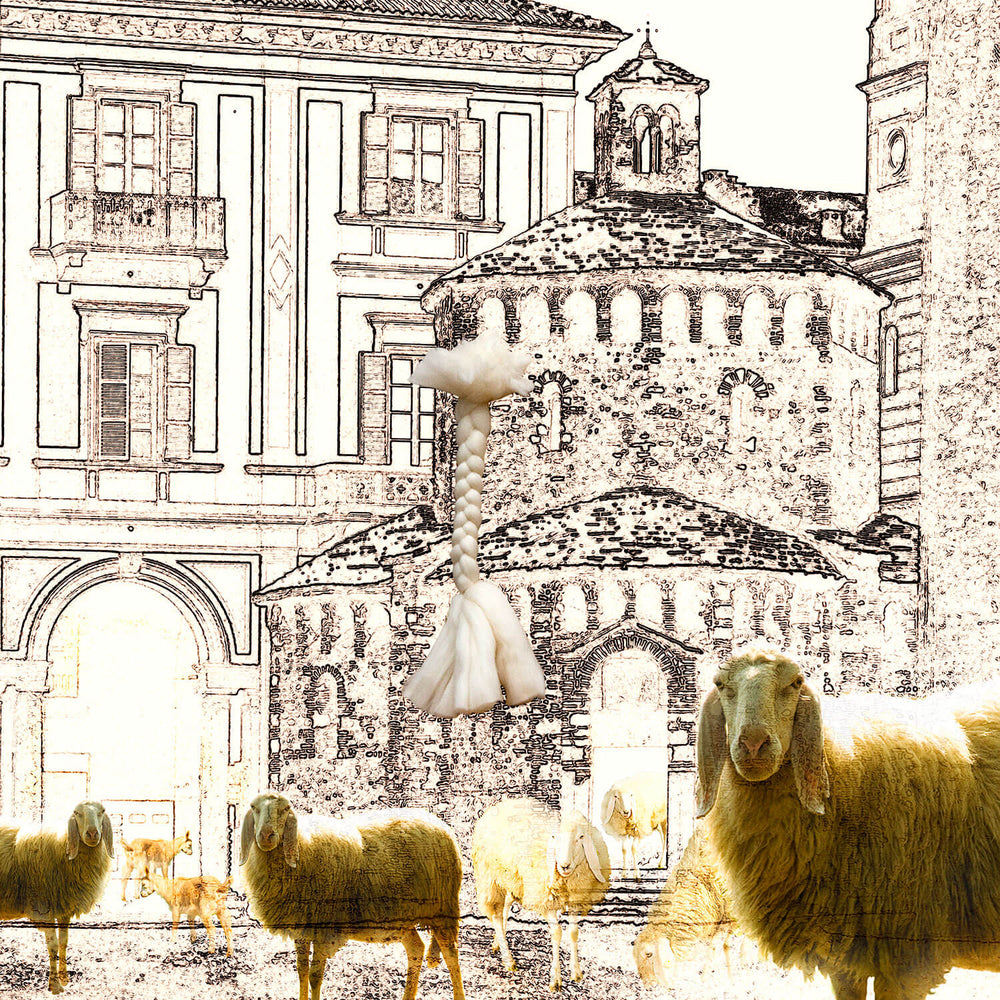 Biella Wool