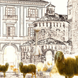 Biella Wool