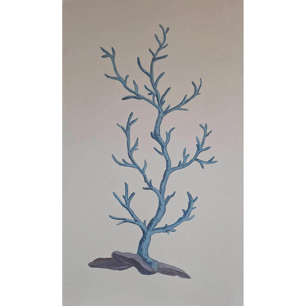 Blue Coral