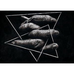 Fingers In The Frame - Pure carbon and graphite on cotton paper by Provaso Davide - Fp Art Online