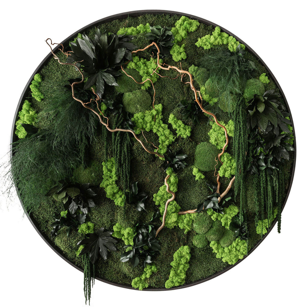 Jungle Artwork