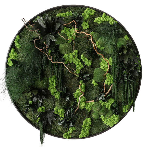 Jungle Artwork