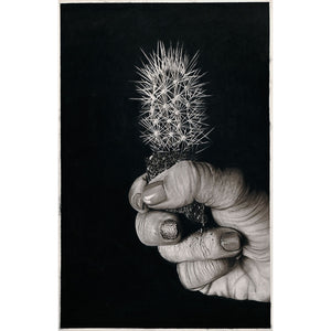 Legame - Pure carbon and graphite on cotton paper by Provaso Davide - Fp Art Online