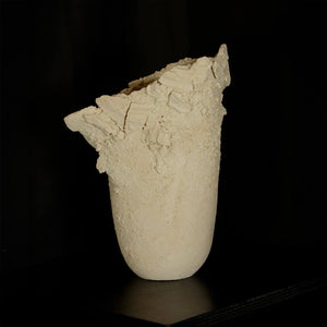 White Matter #1