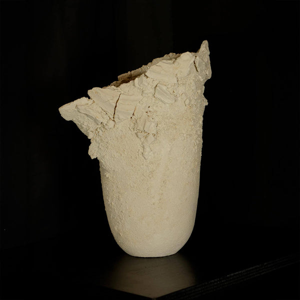White Matter #1