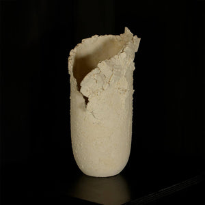 White Matter #1