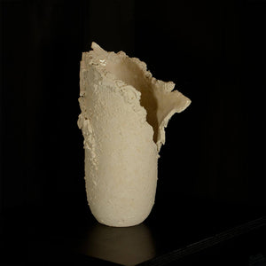White Matter #1