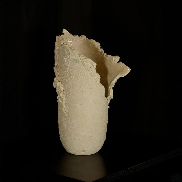 White Matter #1