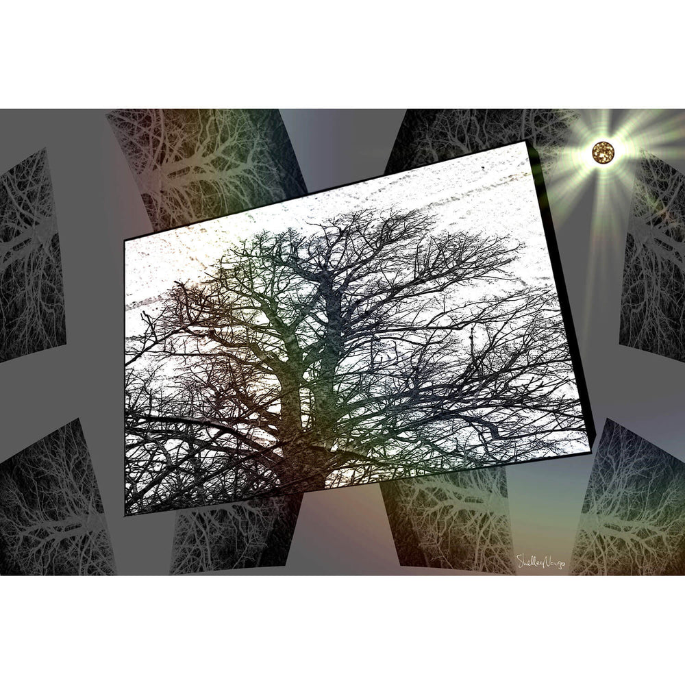 Nature I