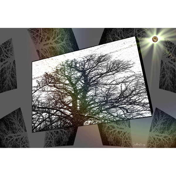 Nature I
