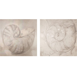 Shell Diptych - Unframed acrylic on canvas by Fp Art Collection - Fp Art Online