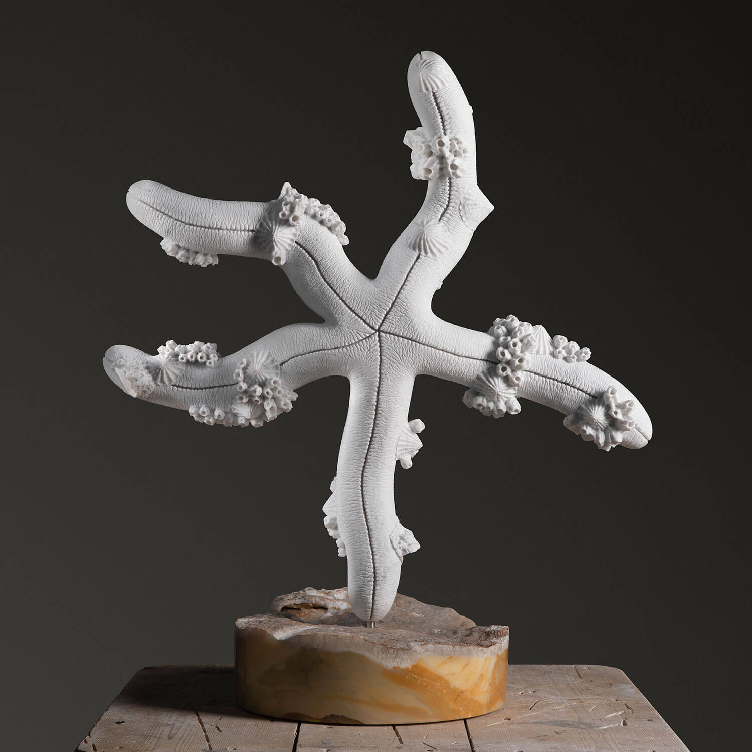 Delice - Maritime Objects. Mother of pearl 