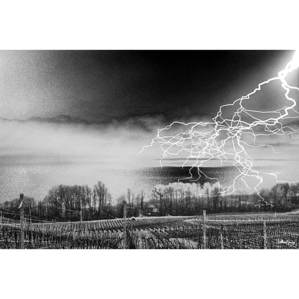 The Storm