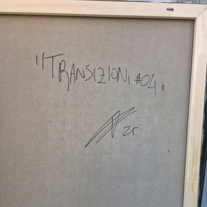 Transitions #04