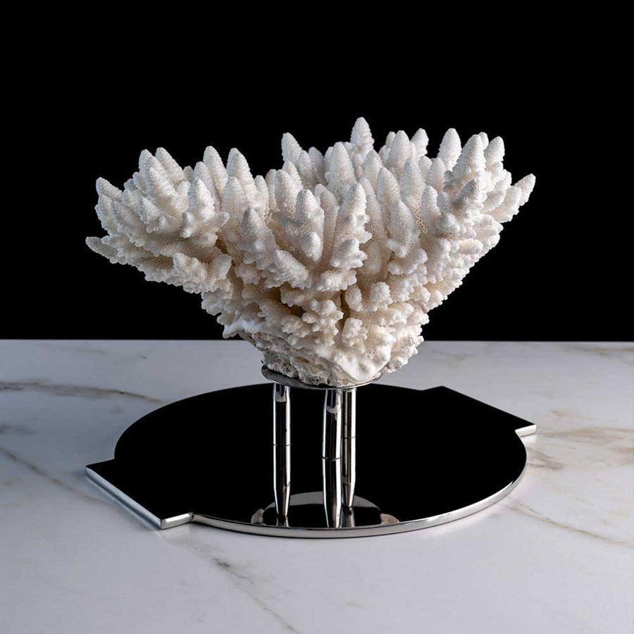 Ame De Corail - Finger coral on a stainless steel frame by Maritime Objects - Fp Art Online