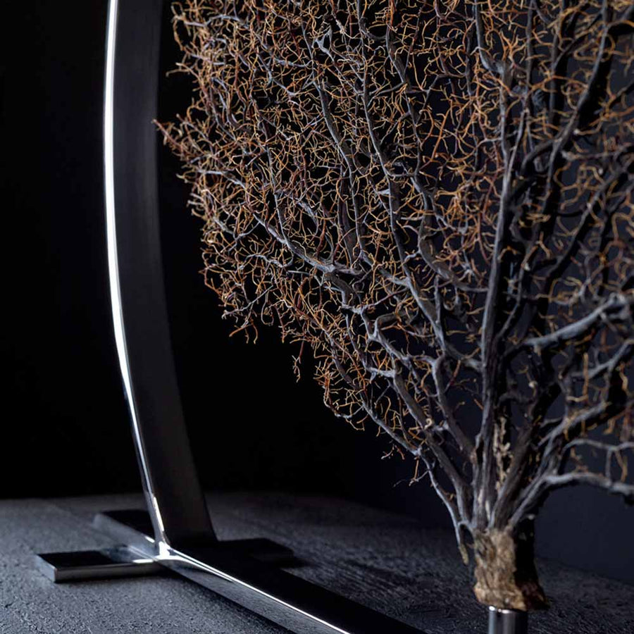 Arbre De La Vie - Black Gorgonia on a stainless steel frame by Maritime Objects - Fp Art Online