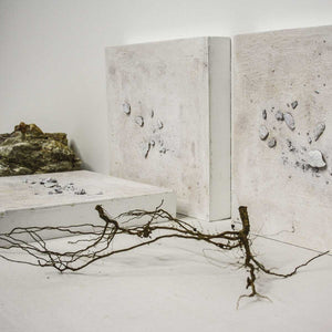 Birth Place #3 - Natural soils and minerals by Passaniti Samantha - Fp Art Online