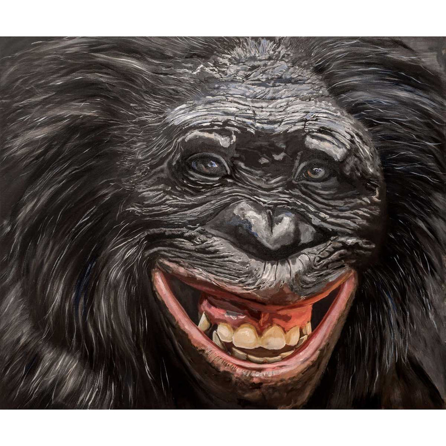 Bonobo - Oil painting on canvas by Chiusano Carla - Fp Art Online