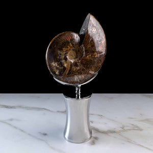 Charmant Brune - Booked on a stainless steel frame by Maritime Objects - Fp Art Online