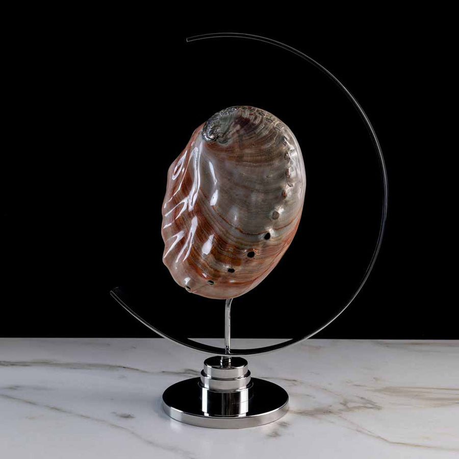 Coin De Lune - "Haliotis Rufescens" shell on a stainless steel frame by Maritime Objects - Fp Art Online