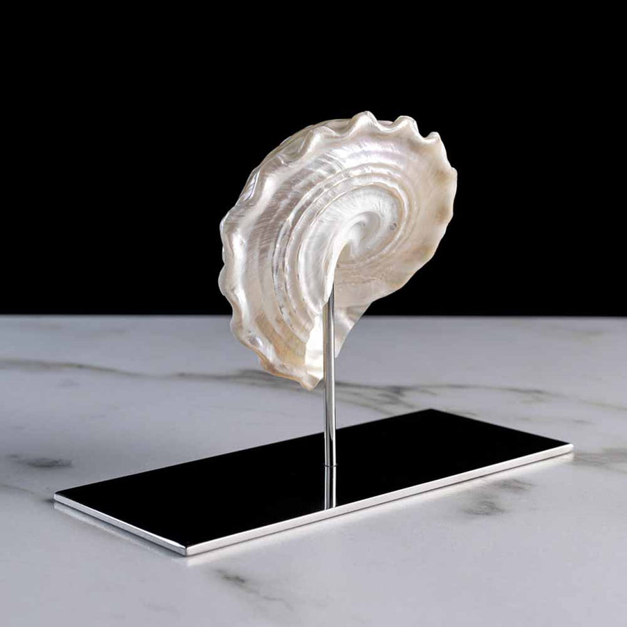 Delice - Mother of pearl "trochus" shell on a stainless steel frame by Maritime Objects - Fp Art Online