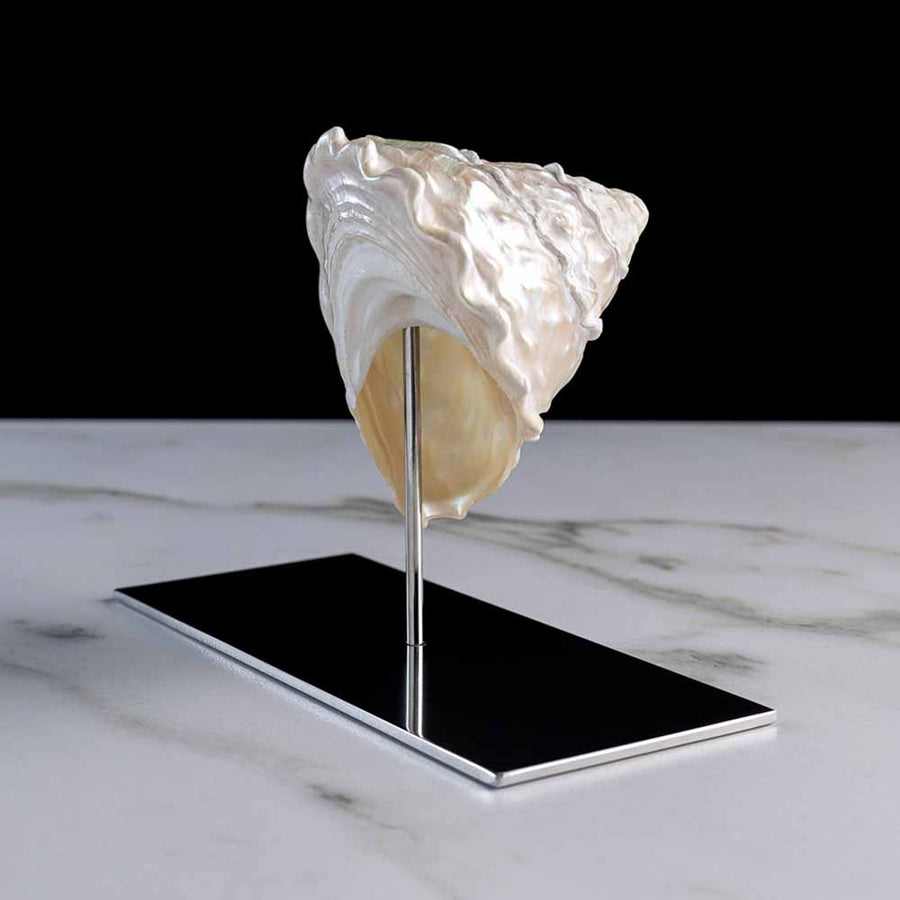 Delice - Mother of pearl "trochus" shell on a stainless steel frame by Maritime Objects - Fp Art Online
