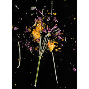 CrioFlowers, Delphiniumviola Ranuncolo - FineArt Hahnemuhle Photo Rug 315gsm paper by Bozzano Daniele - Fp Art Online