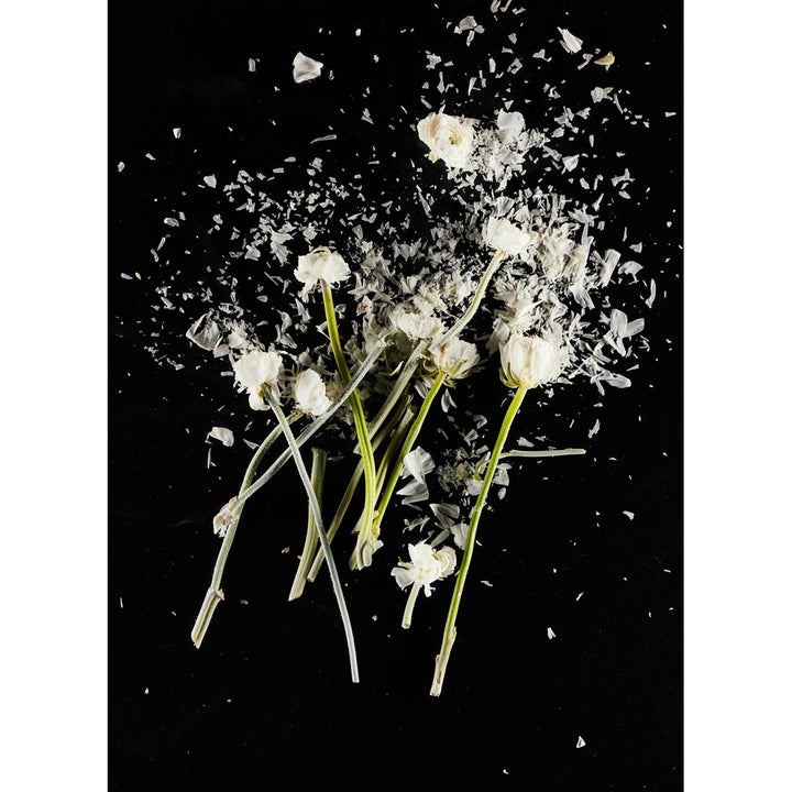 CrioFlowers, Ranuncolobianco - FineArt Hahnemuhle Photo Rug 315gsm paper by Bozzano Daniele - Fp Art Online