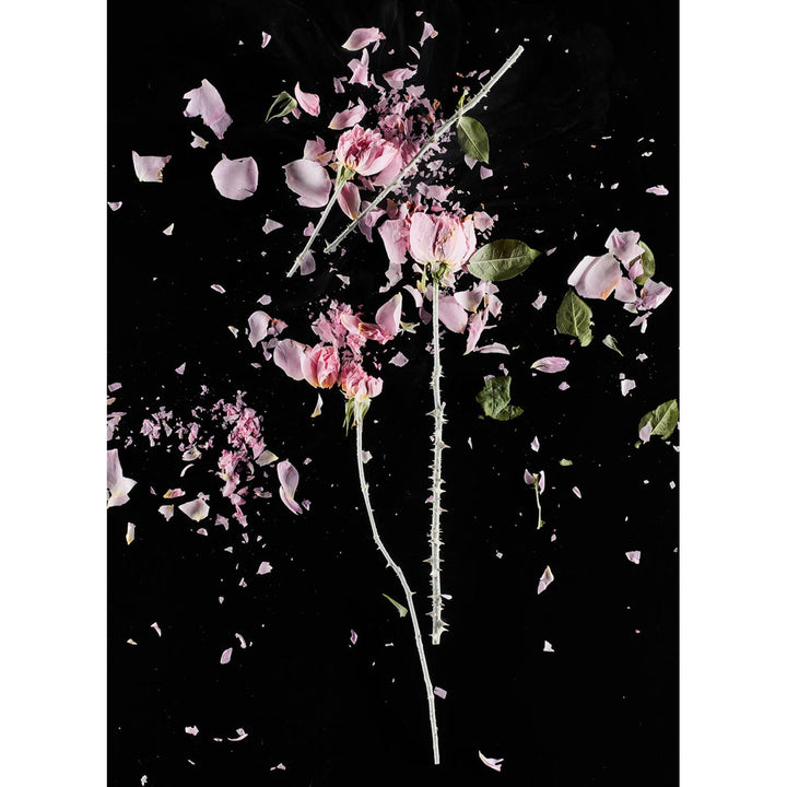 CrioFlowers, Roserosa - FineArt Hahnemuhle Photo Rug 315gsm paper by Bozzano Daniele - Fp Art Online