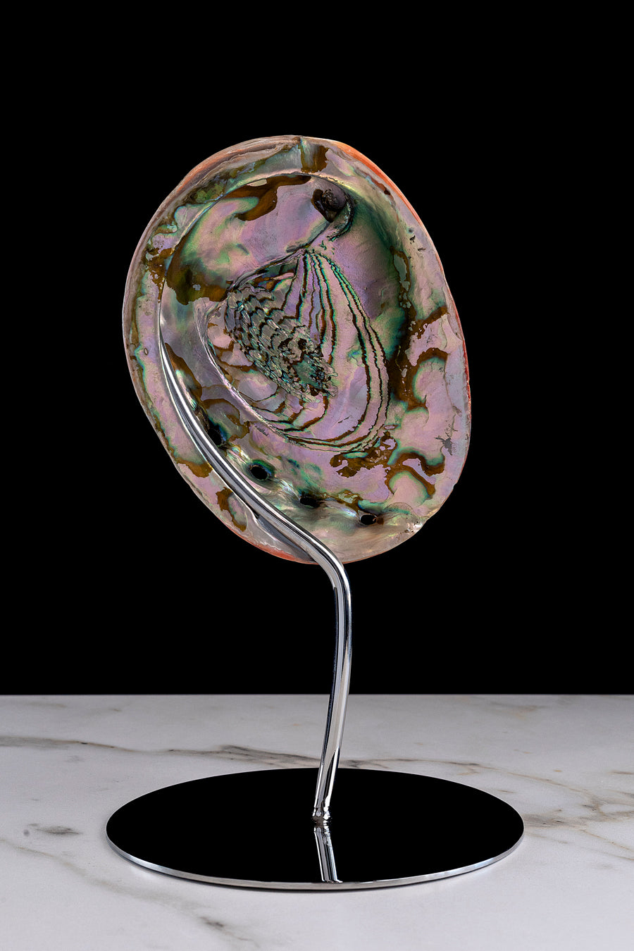 Feu De La Mer - "Haliotis Rufescens" shell on a stainless steel frame by Maritime Objects - Fp Art Online