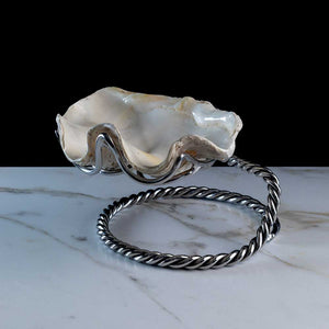 Liens - "Tridacna" shell on a stainless steel frame by Maritime Objects - Fp Art Online
