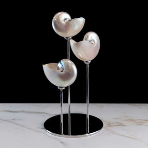 Nacre Blanche - Mother of pearl nautilus on a stainless steel frame by Maritime Objects - Fp Art Online