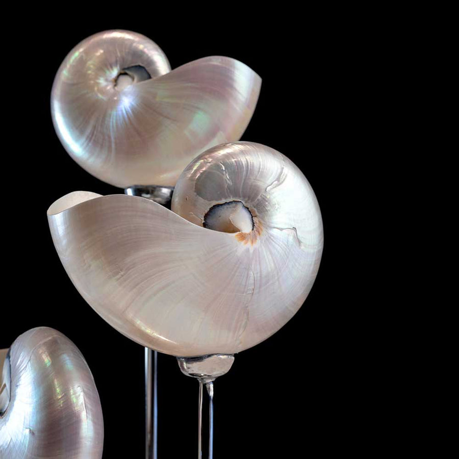 Nacre Blanche - Mother of pearl nautilus on a stainless steel frame by Maritime Objects - Fp Art Online