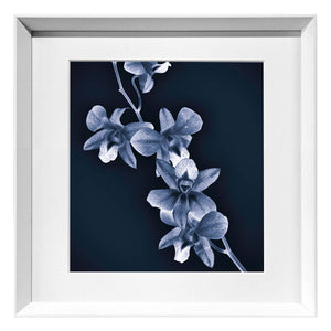 Orchid -  Framed fine art print on 100% cotton paper by Pollini Gianluca - Fp Art Online