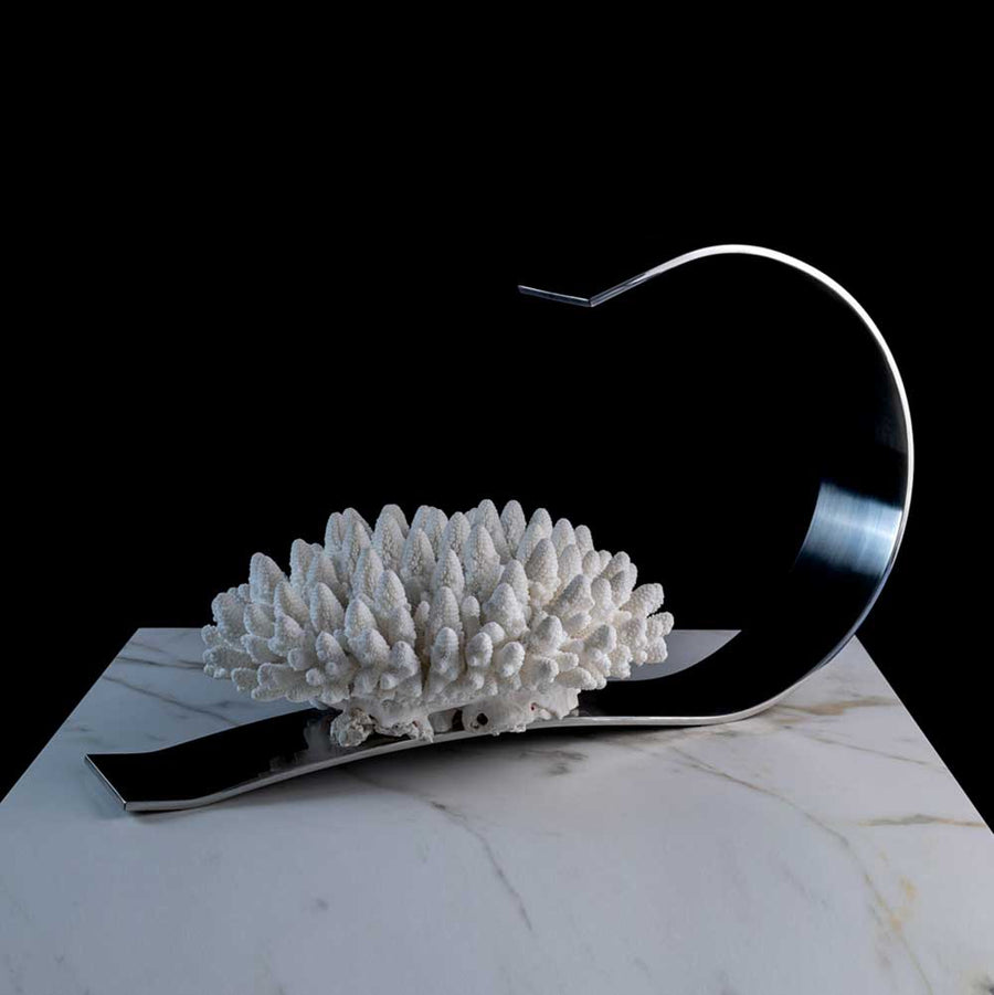 Reef - "White finger" coral on a stainless steel frame by Maritime Objects - Fp Art Online