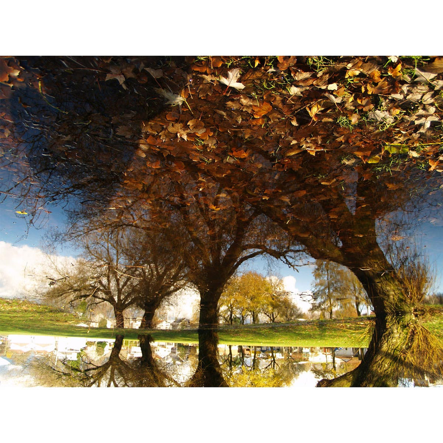 Trout Lake - fine art digital print by Dy Jonathan - Fp Art Online