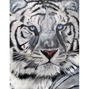 White Tiger - Oil painting on canvas by Chiusano Carla - Fp Art Online