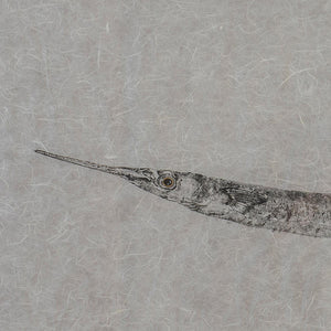 Aguglia #283 - Japanese Gyotaku technique painting on "Kozo" Asian mulberry paper by Auleta Nadia - Fp Art Online