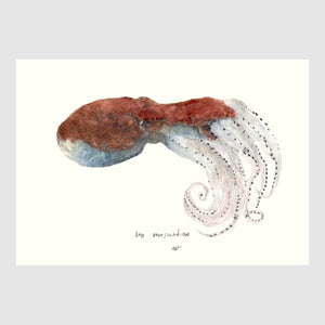 Jellyfish & Octopus Placemats with waterproof print pencil drawing by Placemats - Fp Art Online