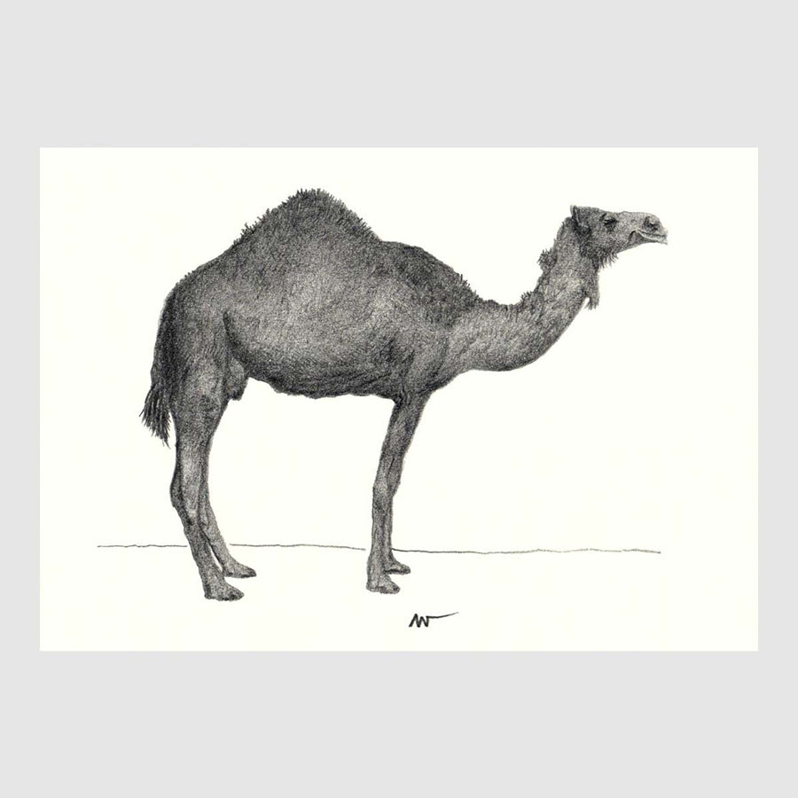 Savannah Animal Placemats 2 with waterproof print pencil drawing by Placemats - Fp Art Online