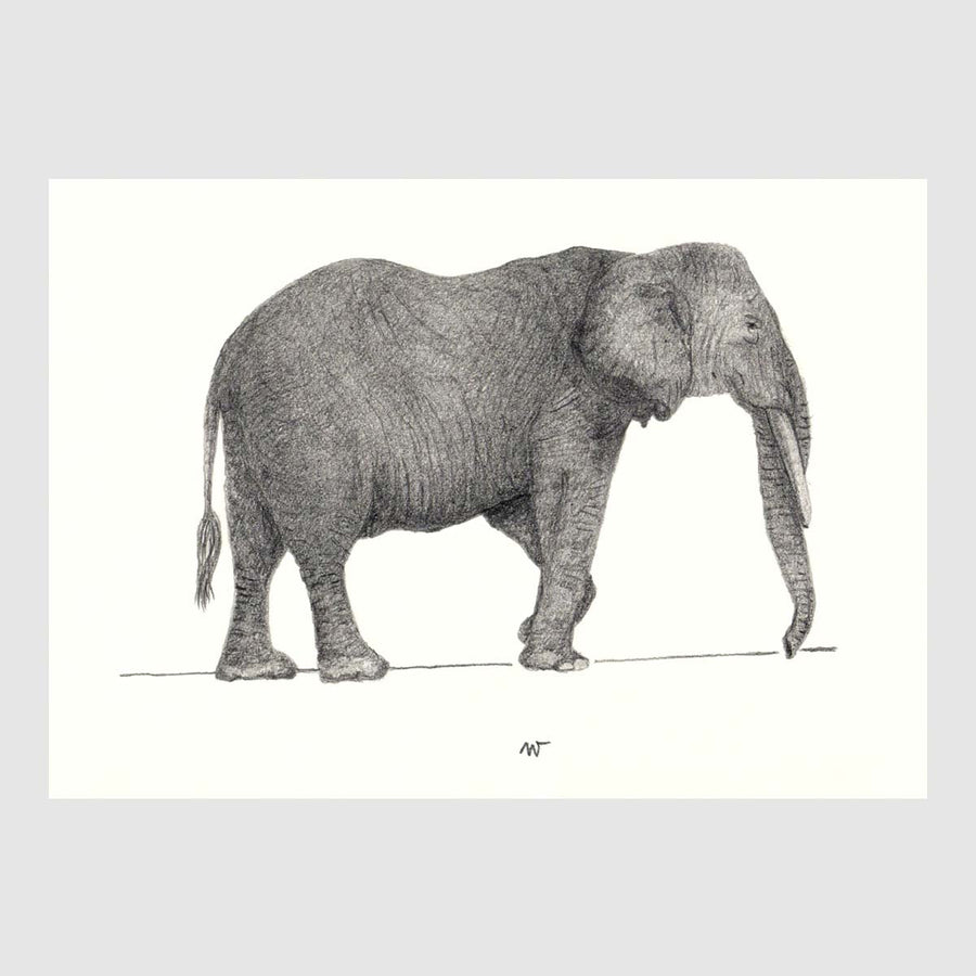 Savannah Animal Placemats 2 with waterproof print pencil drawing by Placemats - Fp Art Online
