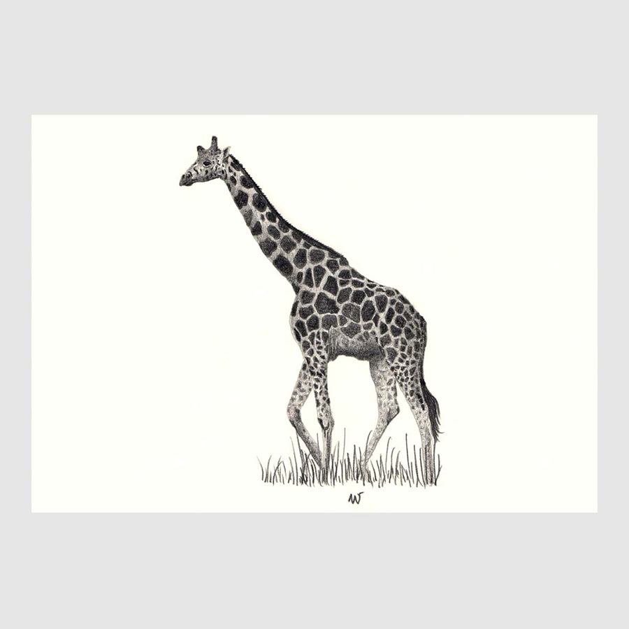 Savannah Animal Placemats 1 with waterproof print pencil drawing by Placemats - Fp Art Online