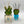 Green Prickly Pear 200ml - Handmade ceramic and glass room fragrance diffuser by Battista Emanuela - Fp Art Online